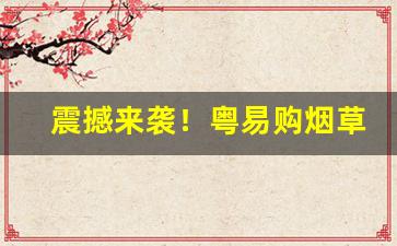 震撼来袭！粤易购烟草网上订货官网下载“奔腾澎湃”