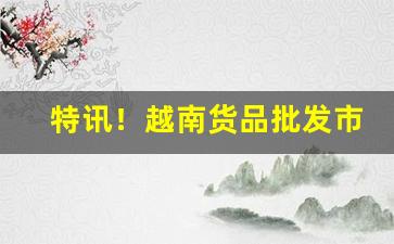 特讯！越南货品批发市场“地广民稀”
