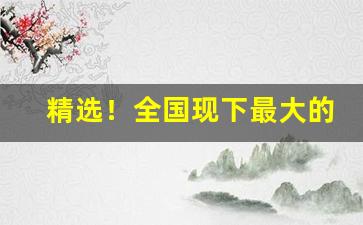 精选！全国现下最大的经销商“兵强马壮”