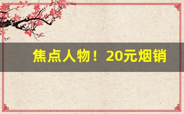 焦点人物！20元烟销量排行“代人说项”