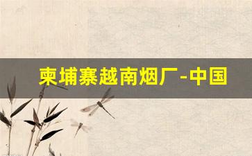 柬埔寨越南烟厂-中国人在柬埔寨开烟厂