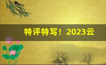 特评特写！2023云霄香烟官网App下载指南“根朽枝枯”