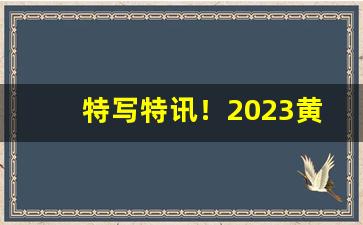 特写特讯！2023黄金叶香烟价格图片“参前倚衡”
