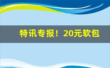 特讯专报！20元软包阿诗玛好抽吗“东园秘器”