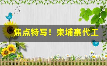 焦点特写！柬埔寨代工香烟口感“愤世嫉俗”