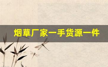 烟草厂家一手货源一件代发烟-2024烟草价目表20至30元细支