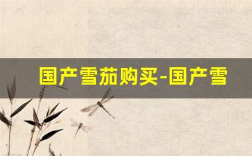 国产雪茄购买-国产雪茄价格