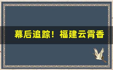 幕后追踪！福建云霄香烟一手货源品质保障！“钢筋铁骨”