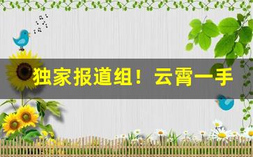 独家报道组！云霄一手香烟货源正品批发“对牛鼓簧”