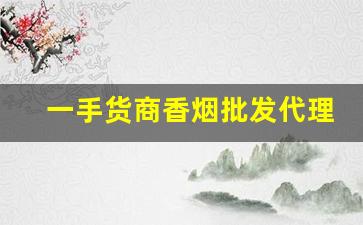 一手货商香烟批发代理-烟批发供应商一包