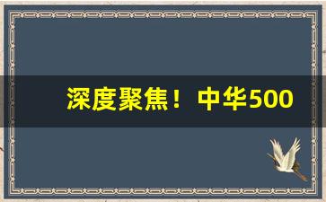 深度聚焦！中华5000哪里能买到“不可枚举”