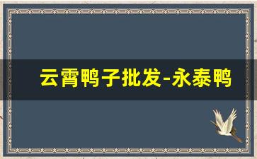 云霄鸭子批发-永泰鸭子批发