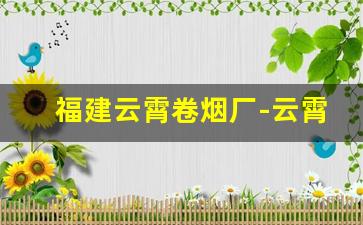福建云霄卷烟厂-云霄烟厂现状