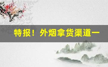 特报！外烟拿货渠道一手货源“儿女之情”