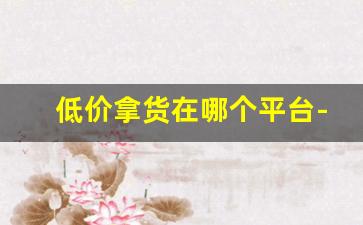 低价拿货在哪个平台-线上拿货渠道上哪里找