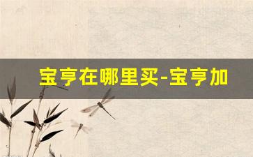 宝亨在哪里买-宝亨加盟图片