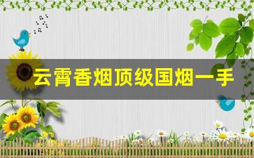 云霄香烟顶级国烟一手货源-云霄香烟便宜又好抽的有哪些