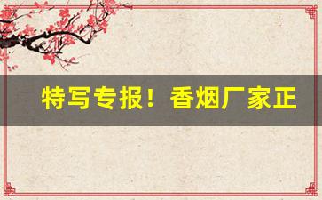 特写专报！香烟厂家正规香烟“丰城剑”