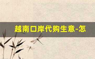 越南口岸代购生意-怎么去越南拿货回来卖