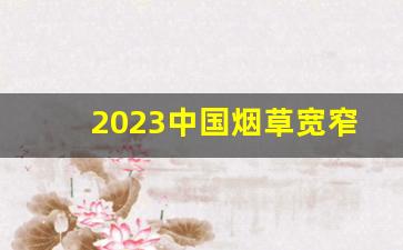 2023中国烟草宽窄价目表-2024烟草最新价格表和天下