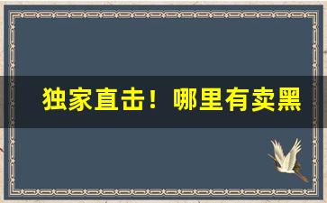 独家直击！哪里有卖黑中华“沉舟破釜”