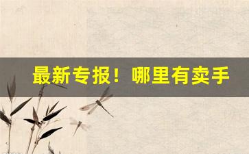 最新专报！哪里有卖手工卷烟“得不偿失”