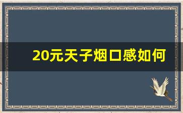 20元天子烟口感如何-20元左右的天子烟好抽吗