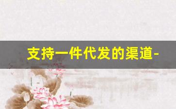 支持一件代发的渠道-一件代发商渠道