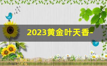 2023黄金叶天香-2025黄金叶天香外观