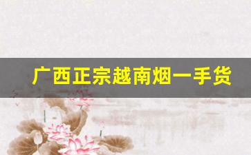 广西正宗越南烟一手货源-越南烟哪里买靠谱
