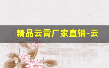 精品云霄厂家直销-云霄一手货源货到付款定制