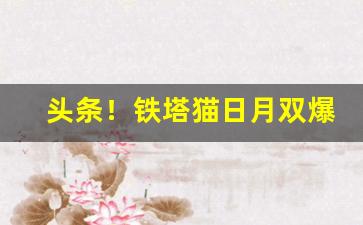 头条！铁塔猫日月双爆哪里能买到“得意之作”