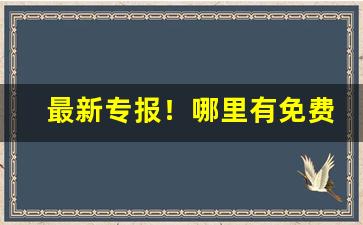 最新专报！哪里有免费的正品货源“惨然不乐”