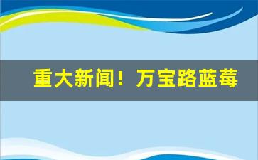 重大新闻！万宝路蓝莓爆珠哪里能买到“大显神通”