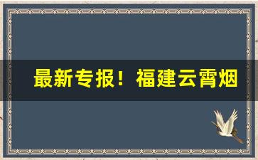 最新专报！福建云霄烟价格表2022云霄香烟官网“春雨如油”