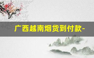广西越南烟货到付款-广西越南烟一手批发东兴