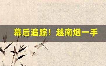 幕后追踪！越南烟一手批发东兴私烟批发“不厌其烦”