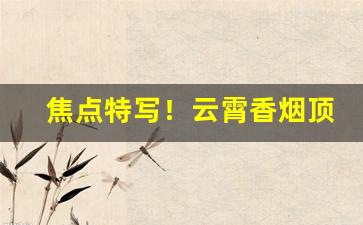 焦点特写！云霄香烟顶级国烟批发代理“聪明智慧”