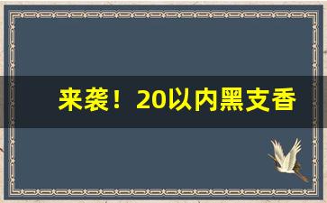 来袭！20以内黑支香烟“干戈满地”
