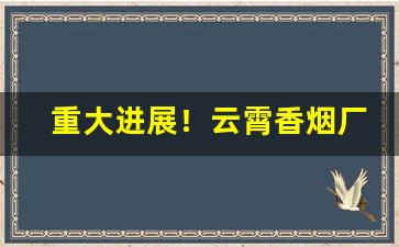 重大进展！云霄香烟厂家批发直销“共牢而食”