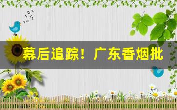 幕后追踪！广东香烟批发网“对床夜语”