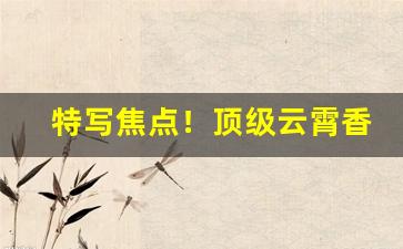 特写焦点！顶级云霄香烟“丁宁周至”