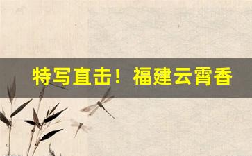 特写直击！福建云霄香烟批发香烟微信“砥砺廉隅”
