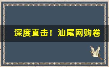 深度直击！汕尾网购卷烟“愤世嫉俗”