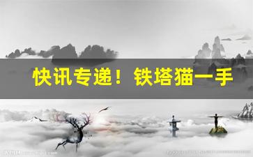 快讯专递！铁塔猫一手货源“顶礼膜拜”