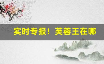 实时专报！芙蓉王在哪都能买到么“聪明才智”