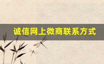诚信网上微商联系方式推荐-正规微商的团队
