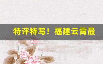特评特写！福建云霄最大香烟批发市场“拔本塞源”