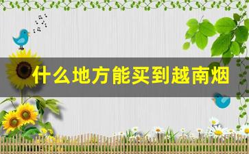 什么地方能买到越南烟-越南烟哪里买比较正宗