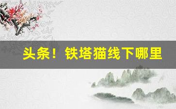 头条！铁塔猫线下哪里能买“存亡絶续”